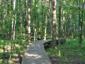 nature trail